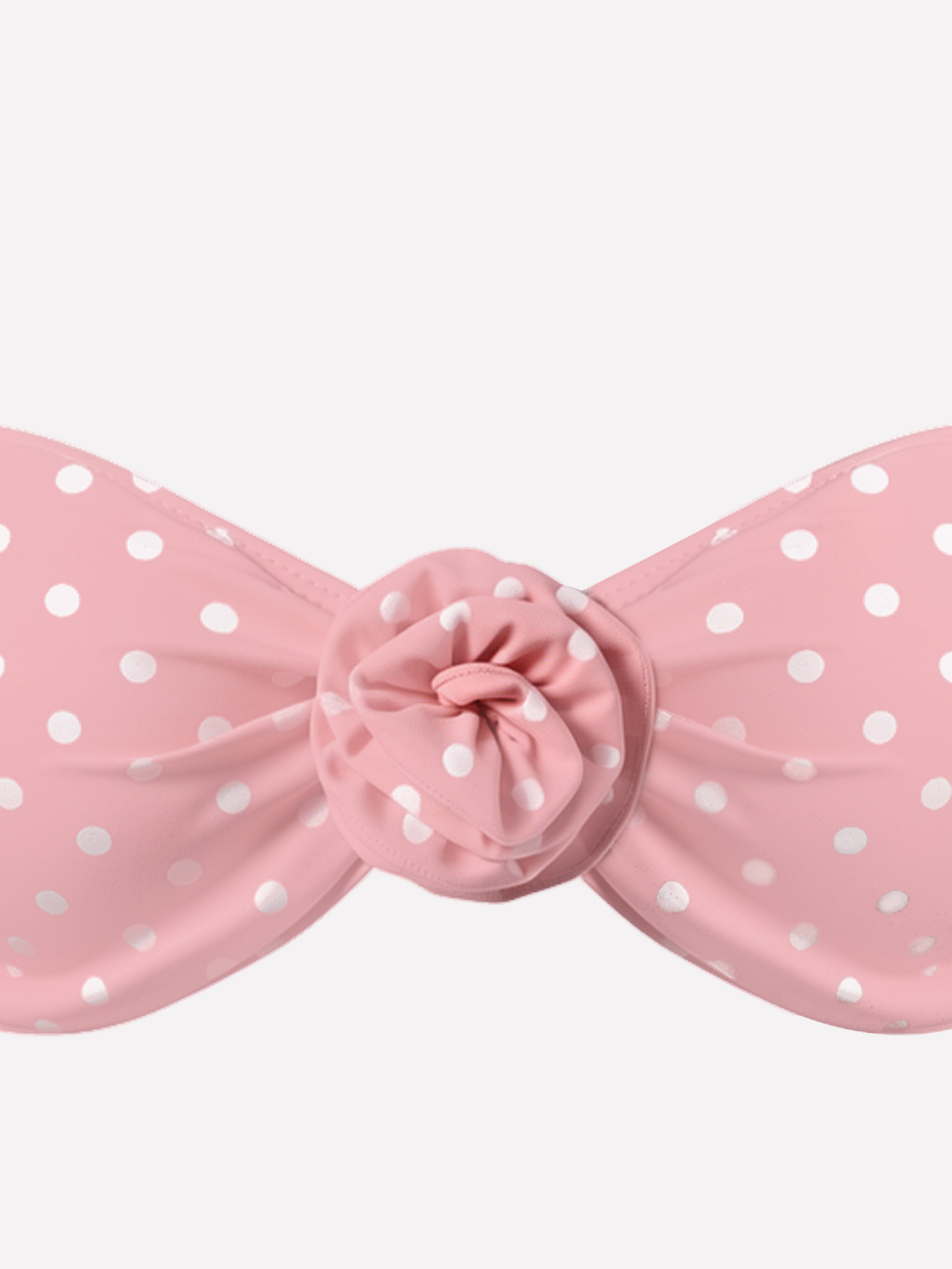 Roselle Polka Dot Rose Bikini Set